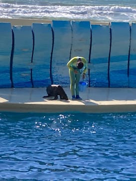 新江ノ島水族館に投稿された画像（2025/1/30）