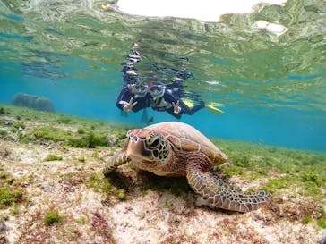 初心者専門宮古島シュノーケリングツアーに投稿された画像（2025/1/30）