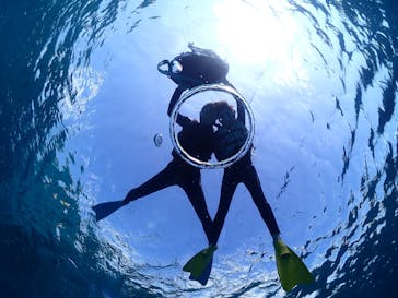 初心者専門宮古島シュノーケリングツアーに投稿された画像（2025/1/30）