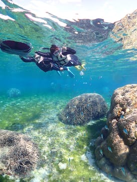 初心者専門宮古島シュノーケリングツアーに投稿された画像（2025/1/30）