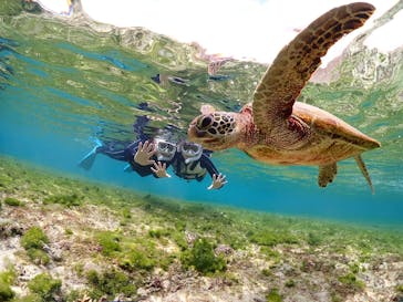 初心者専門宮古島シュノーケリングツアーに投稿された画像（2025/1/30）