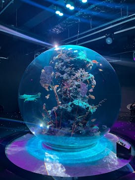AQUARIUM × ART　atoaに投稿された画像（2025/1/30）