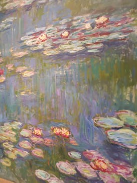 モネ 睡蓮のとき（国立西洋美術館）に投稿された画像（2025/1/30）