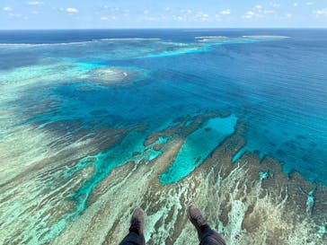 ブルーオーシャンクラブに投稿された画像（2025/1/30）