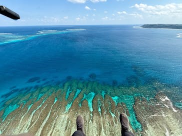 ブルーオーシャンクラブに投稿された画像（2025/1/30）