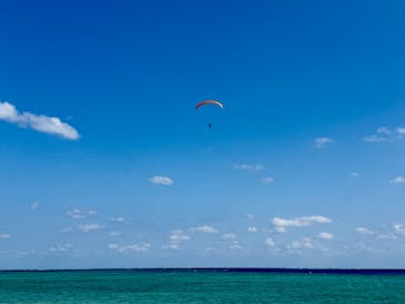 ブルーオーシャンクラブに投稿された画像（2025/1/30）