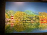 特別展「旧嵯峨御所 大覚寺 －百花繚乱 御所ゆかりの絵画－」（東京国立博物館）に投稿された画像（2025/1/30）