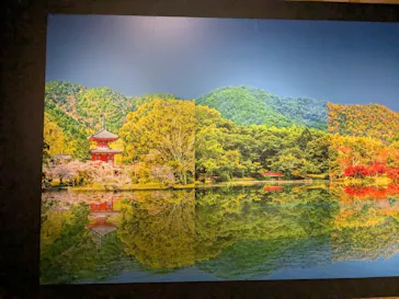 特別展「旧嵯峨御所 大覚寺 －百花繚乱 御所ゆかりの絵画－」（東京国立博物館）に投稿された画像（2025/1/30）