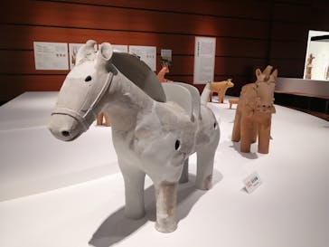 特別展「はにわ」（九州国立博物館）に投稿された画像（2025/1/30）