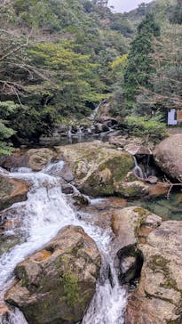 Yamakara屋久島に投稿された画像（2025/1/30）