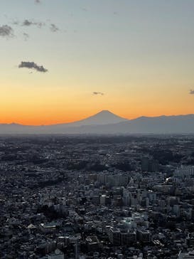 横浜ランドマークタワー 69階展望フロア スカイガーデンに投稿された画像（2025/1/30）