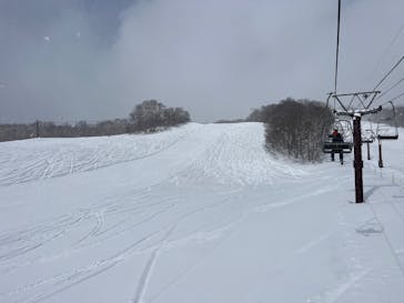 網張温泉スキー場に投稿された画像（2025/1/30）