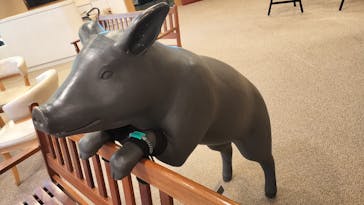 天然温泉 花鳥風月に投稿された画像（2025/1/30）