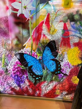 蜷川実花展 with EiM：彼岸の光、此岸の影 NINAGAWA Mika with EiM：Lights of the beyond, Shadows of this worldに投稿された画像（2025/1/30）