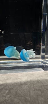 AOAO SAPPOROに投稿された画像（2025/1/30）