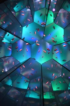 UWS AQUARIUM GA☆KYOに投稿された画像（2025/1/30）