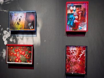 蜷川実花展 with EiM：彼岸の光、此岸の影 NINAGAWA Mika with EiM：Lights of the beyond, Shadows of this worldに投稿された画像（2025/1/30）
