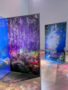 蜷川実花展 with EiM：彼岸の光、此岸の影 NINAGAWA Mika with EiM：Lights of the beyond, Shadows of this worldに投稿された画像（2025/1/30）