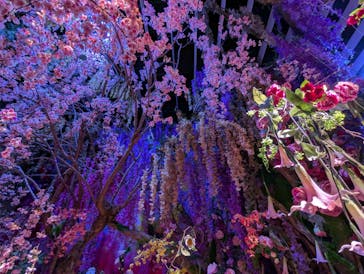 蜷川実花展 with EiM：彼岸の光、此岸の影 NINAGAWA Mika with EiM：Lights of the beyond, Shadows of this worldに投稿された画像（2025/1/30）