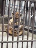 宇都宮動物園に投稿された画像（2025/1/30）