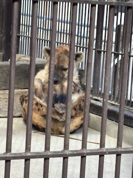 宇都宮動物園に投稿された画像（2025/1/30）