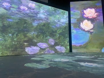 「モネ＆フレンズ・アライブ」神戸展に投稿された画像（2025/1/30）