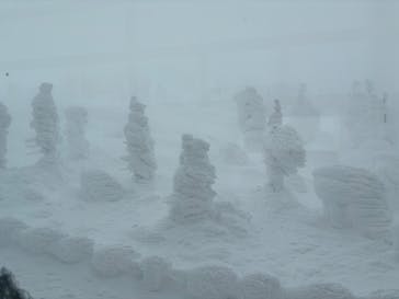 蔵王ロープウェイに投稿された画像（2025/1/31）