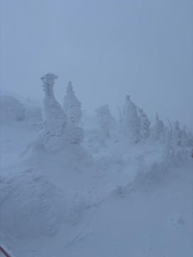 蔵王ロープウェイに投稿された画像（2025/1/31）