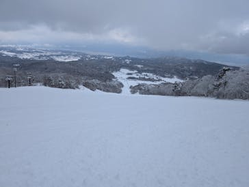 いいづなリゾートスキー場に投稿された画像（2025/1/31）