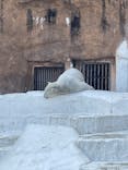 天王寺動物園に投稿された画像（2025/1/31）