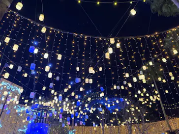 ひらかたパークに投稿された画像（2025/1/31）