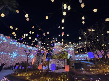 ひらかたパークに投稿された画像（2025/1/31）