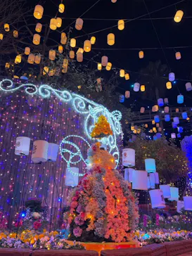 ひらかたパークに投稿された画像（2025/1/31）