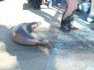 東武動物公園に投稿された画像（2025/1/31）