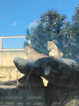 東武動物公園に投稿された画像（2025/1/31）