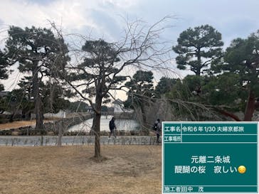 元離宮二条城に投稿された画像（2025/1/31）