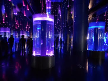 マクセル アクアパーク品川に投稿された画像（2025/1/31）