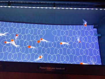 すみだ水族館に投稿された画像（2025/1/31）