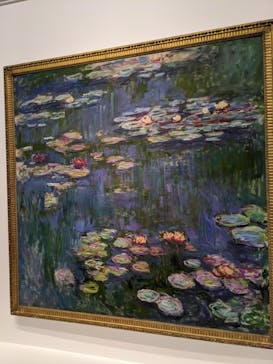 モネ 睡蓮のとき（国立西洋美術館）に投稿された画像（2025/1/31）
