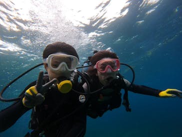 武藤潜水に投稿された画像（2025/1/31）