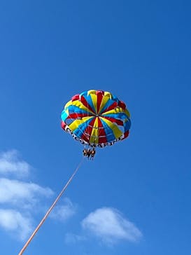 CoCoMarin（ココマリン）に投稿された画像（2025/1/31）