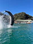 下田海中水族館に投稿された画像（2025/1/31）