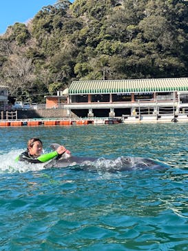 下田海中水族館に投稿された画像（2025/1/31）