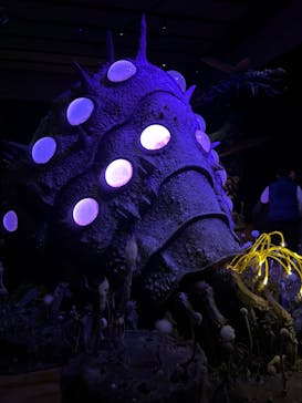 金曜ロードショーとジブリ展　三重展に投稿された画像（2025/1/31）