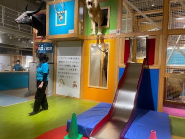 国立科学博物館に投稿された画像（2025/1/31）