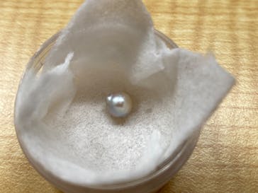 三重県真珠に投稿された画像（2025/1/31）