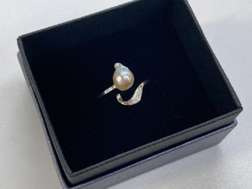 三重県真珠に投稿された画像（2025/1/31）