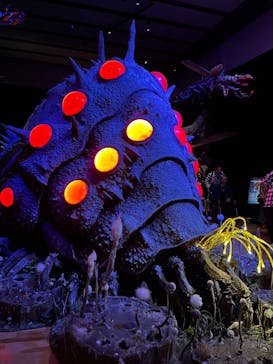 金曜ロードショーとジブリ展　三重展に投稿された画像（2025/1/31）