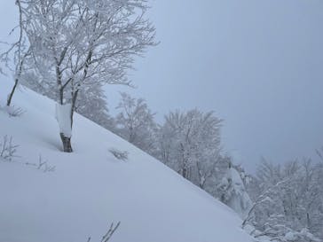 田沢湖アウトドアツアーに投稿された画像（2025/1/31）