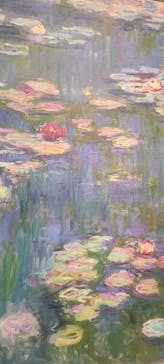 モネ 睡蓮のとき（国立西洋美術館）に投稿された画像（2025/1/31）